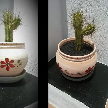 Casa Eden *